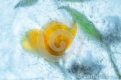 Frozen Wildflowers Ice Block Creative Background Stock Photo