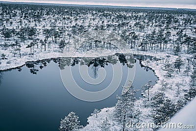 Cold winter landscape frozen snow swamp Kemeri Stock Photo