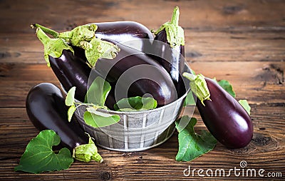 Frsh organic eggplant Stock Photo