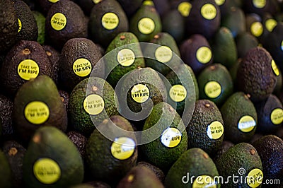 Fruit Avocado Stock Photo