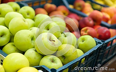 Red and green apples Stock Photo