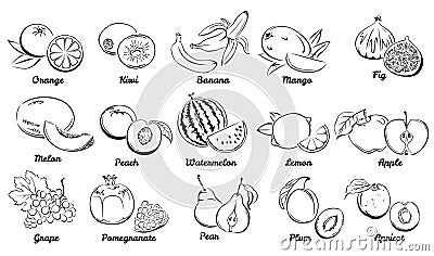 Fruits. Set of black and white icons. Vector illustration of Grape, Orange, Kiwi, Banana, Mango, Fig, Melon, Peach etc. Cartoon Illustration