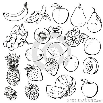 Fruit berry collection Vector Illustration