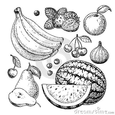 Fruit and berry vector drawing set. Hand drawn summer food Vector Illustration