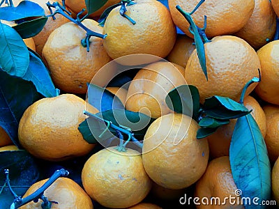 Fruit box with tangerines and green leaves Stock Photo