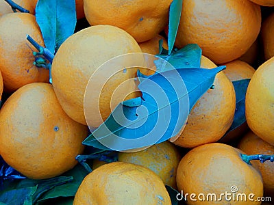 Fruit box with tangerines and green leaves Stock Photo