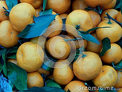 Fruit box with tangerines and green leaves Stock Photo