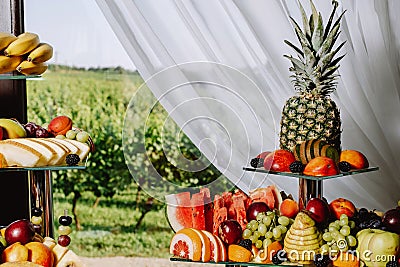 Fruit buffet for a wedding. Assortment of exotic fruits on the background of vineyards in the restaurant. Decoration of fresh Stock Photo