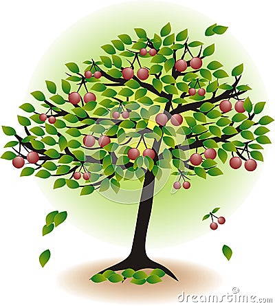 Fruit cherry tree Vector Illustration