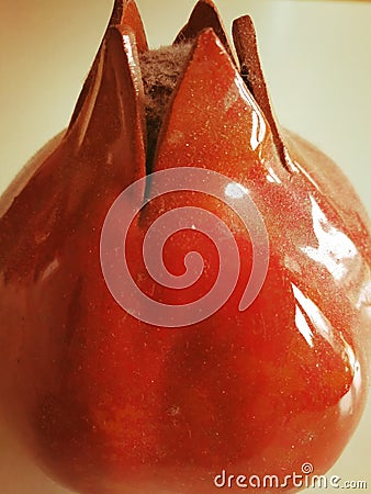 Fruit form with good light. Stock Photo