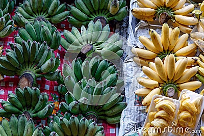 Freshness Banana and jackfruit in the boat at floating market. Editorial Stock Photo