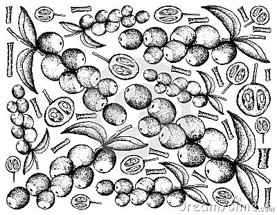 Hand Drawn of Camu Camu Fruits on White Background Vector Illustration