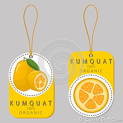 The fruit kumquat Vector Illustration