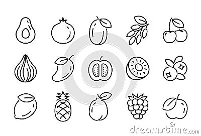 Fruit line icon isolated tropical food. Linear healthy outline apple grape cherry stroke sign vector illustration. Vector Illustration