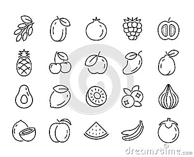 Fruit line icon isolated tropical food. Linear healthy outline apple grape cherry stroke sign vector illustration. Vector Illustration