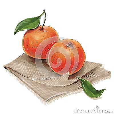 Fruit mandarin orange illustration markers Cartoon Illustration