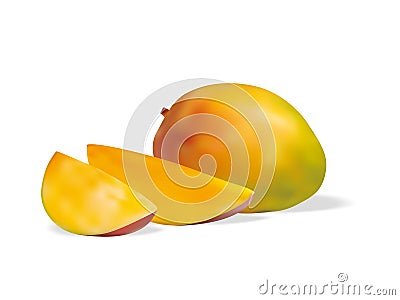 Fruit Mango realistic fruit Vector Illustration