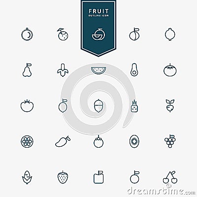 25 fruit minimal line icons Vector Illustration