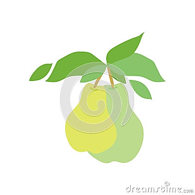 Fruit pear branch. Two pears hanging on branch with leaves. Flat food illustration, fruit tree, pear branch Vector Illustration