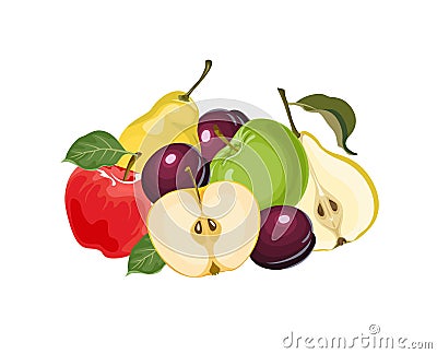 Heap of fresh fruits. Vector whole and half apple, pear and plum isolated on white background. Vector Illustration