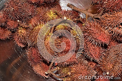 Annatto also known as Roucou or Achiote Stock Photo