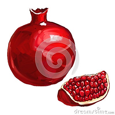 Fruit pomegranate vector illustration hand drawn Vector Illustration
