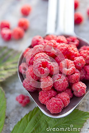 Fruit raspberries in the metallic spoon Stock Photo