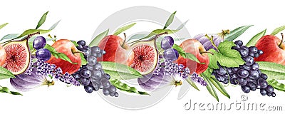 Fruit seamless border watercolor illustration. Elegant realistic decore from ripe apple, grape, fig and green leaves Cartoon Illustration