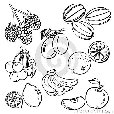 Fruit Set Stock Photo