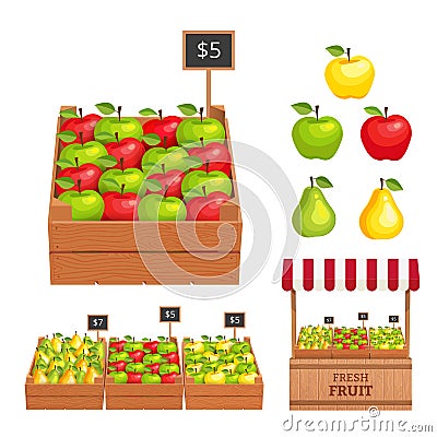 Fruit set Vector Illustration