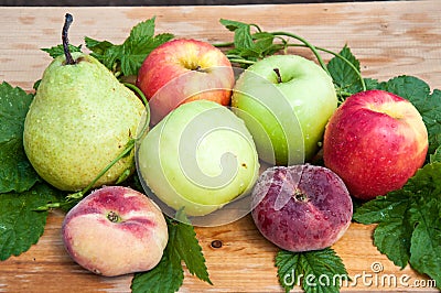 Fruit tree fruit Stock Photo
