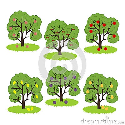 Fruit Tree Icon Vector Illustration