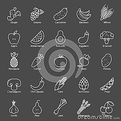 Fruit and Vegetables icon set. Vegan natural bio pictograms. Artichoke, asparagus, wheat, bananas, grapes, leeks, garlic, ginger a Vector Illustration