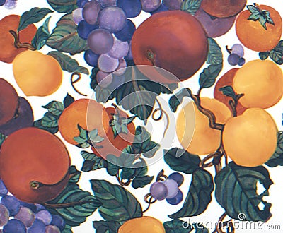 Fruit Watercolor hand painted apricots grapes plums Stock Photo