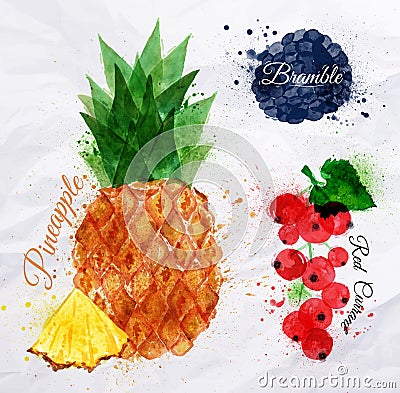 Fruit watercolor pineapple, bramble, red currant Vector Illustration