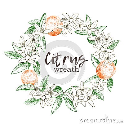 Fruit wreath with isolated hand drawn oranges and flowers in ske Vector Illustration