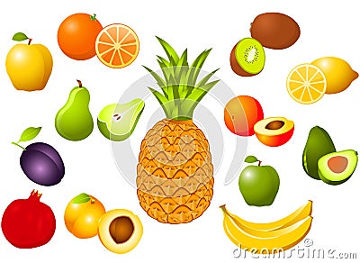 Fruits Vector Illustration