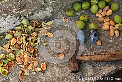 Fruits: almonds, plums, green wallnuts Stock Photo