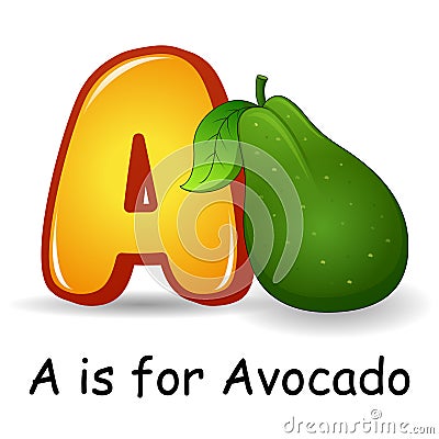 Fruits alphabet: A is for Avocado Fruits Vector Illustration