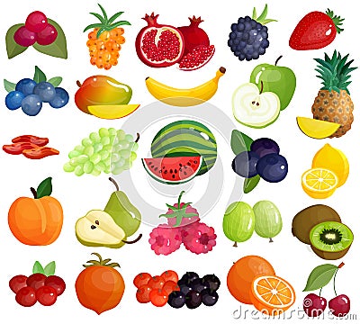 Fruits Berries Colorful Icons Collection Vector Illustration