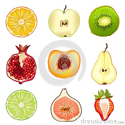 Fruits, berries, half, isolated on white background Vector Illustration