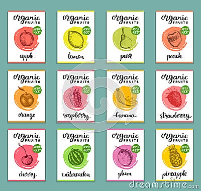 Fruits and berries labels. Hand drawn healthy, organic food and drink cards set. Farm eco products tags collection. Vector Illustration