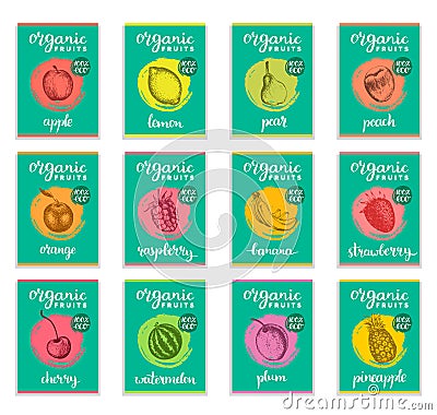 Fruits and berries sketched cards. Hand drawn labels set for packaging etc. Vector illustrations of organic, eco food. Vector Illustration