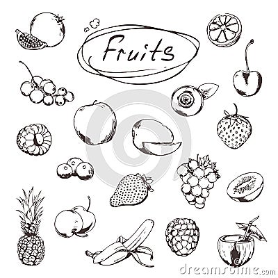 Fruits and berries, sketches Vector Illustration