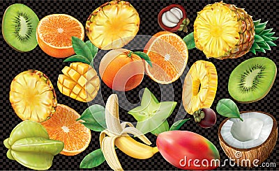 Fruits on black background Vector Illustration