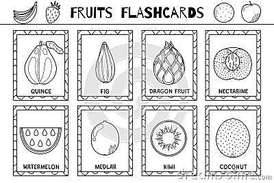 Fruits flashcards black and white collection. Healthy food flash cards set Vector Illustration