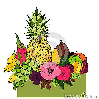 Fruits and flowers. Vector illustration. Vector Illustration