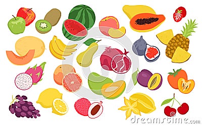 Fruits food set, fresh organic eco summer seasonal products for agricultural market. Cartoon fruity collection with Vector Illustration