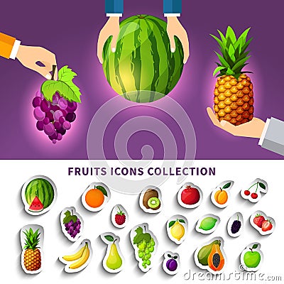 Fruits Icons Collection Vector Illustration