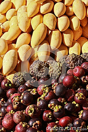 Fruits mixture Stock Photo